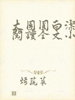 大团圆白洁免费阅读全文小说