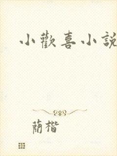 小欢喜小说