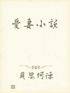 爱妻小说