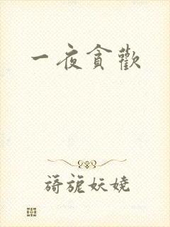 一夜贪欢