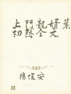 上门龙婿叶辰萧初然全文