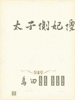 太子侧妃傻乎乎