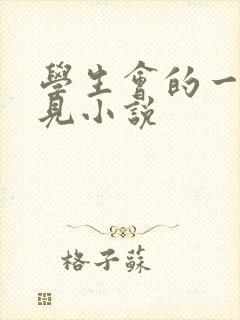 学生会的一己之见小说