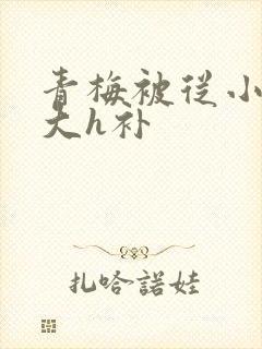 青梅被从小摸到大h补