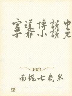 官道传说中的太子爷小说免费阅读