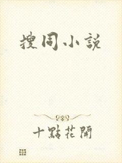 搜同小说