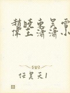 赵晓东吴雪晴郑伟王潇潇小说