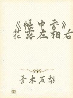 《帐中香》金银花露左相右相