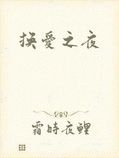 换爱之夜