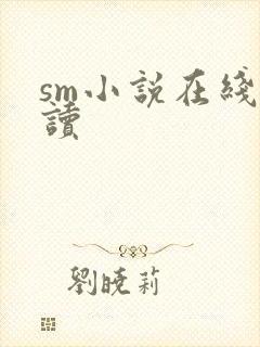 sm小说在线阅读