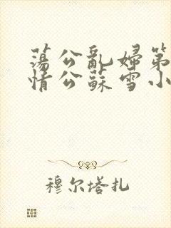 荡公乱妇第1章情公苏雪小说