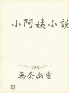 小阿姨小说