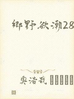 乡野欲潮28章