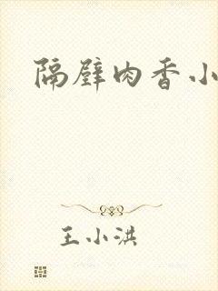 隔壁肉香小说