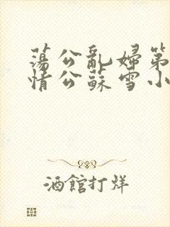 荡公乱妇第1章情公苏雪小说