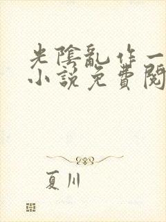 光阴乱作一团的小说免费阅读