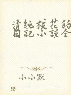 清纯校花的堕落日记小说全文免费阅读