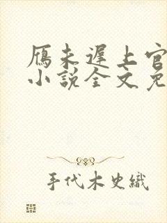 雁未迟上官穿越小说全文免费阅读