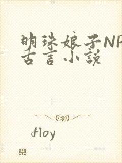 明珠娘子NPC古言小说