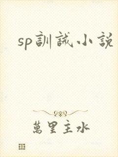 sp训诫小说