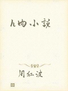 h肉小说