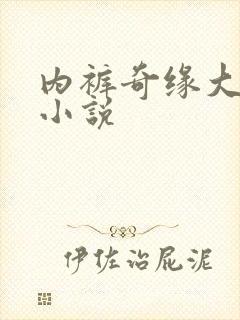 内裤奇缘大团结小说