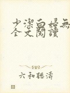 少洁白妇无删减全文阅读