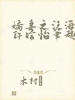 娇妻之泛海之舟许晗怡笔趣阁