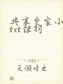 共享皇家小公主txt银羽