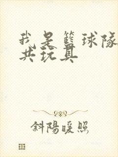 我是篮球队的公共玩具