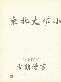东北大坑小说