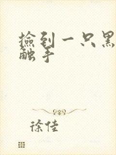 捡到一只黑心小触手