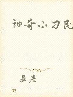 神奇小刁民