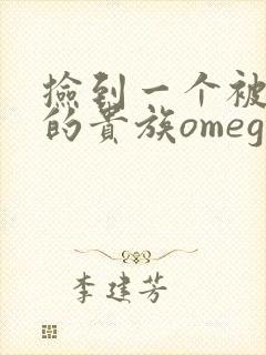 捡到一个被抹布的贵族omega