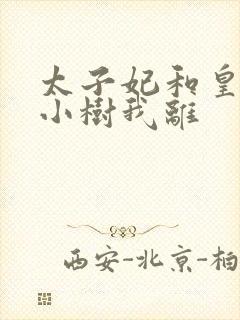 太子妃和皇上在小树我离