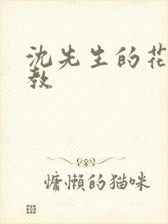 沈先生的花式管教