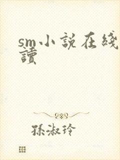 sm小说在线阅读