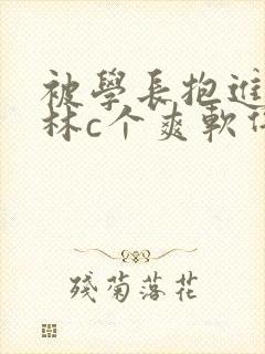 被学长抱进小树林c个爽软件