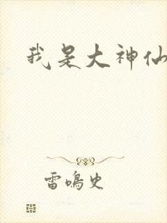 我是大神仙小说