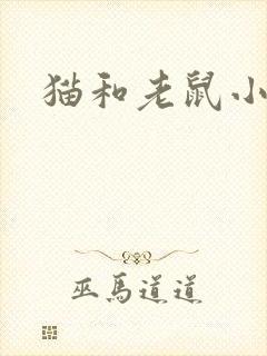 猫和老鼠小说