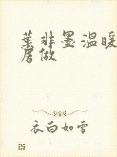 叶非墨温暖在厨房做