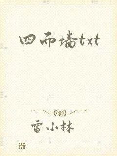 四面墙txt