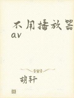 不用播放器的gav