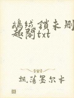 鹅绒锁未删除笔趣阁txt