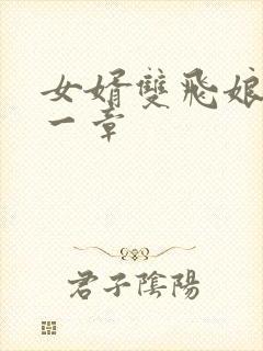 女婿双飞娘俩第一章