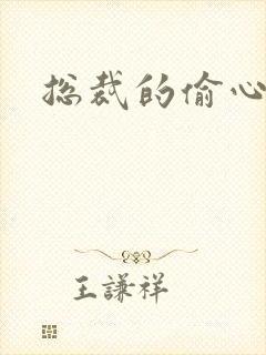 总裁的偷心娇妻