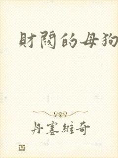 财阀的母狗们