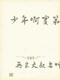 少年啊宾第二部