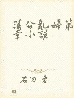 荡公乱妇第51章小说