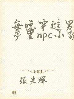 每晚穿进男神的梦里npc小说